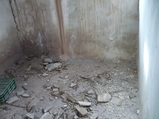 thumbnails/514-p1060515.jpg.small.jpeg